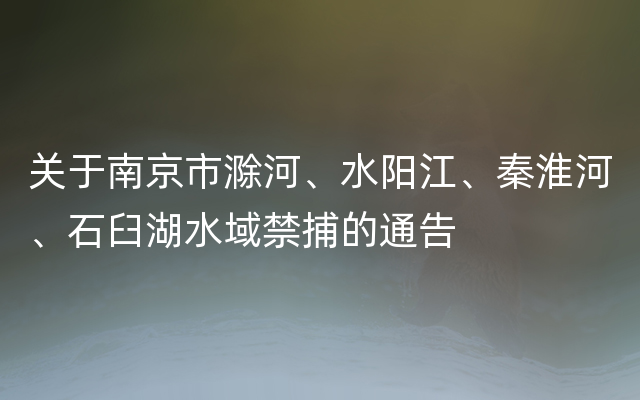关于南京市滁河、水阳江、秦淮河、石臼湖水域禁捕的通告