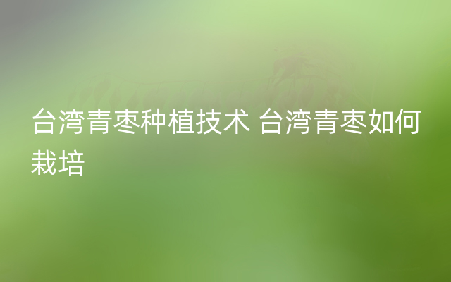 台湾青枣种植技术 台湾青枣如何栽培