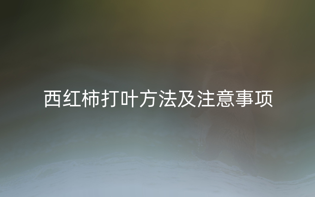 西红柿打叶方法及注意事项