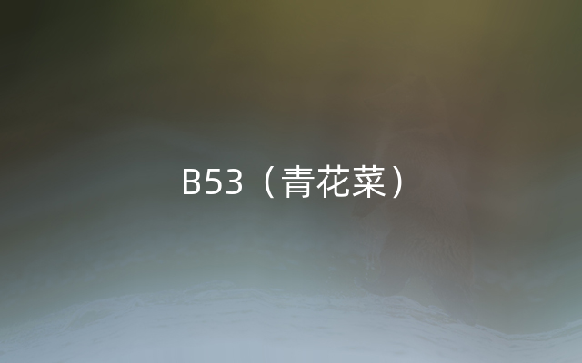 B53（青花菜）