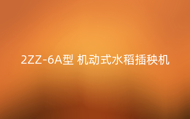2ZZ-6A型 机动式水稻插秧机