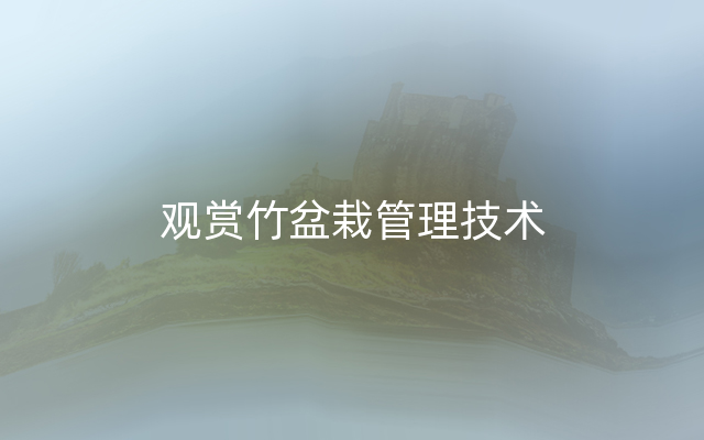 观赏竹盆栽管理技术