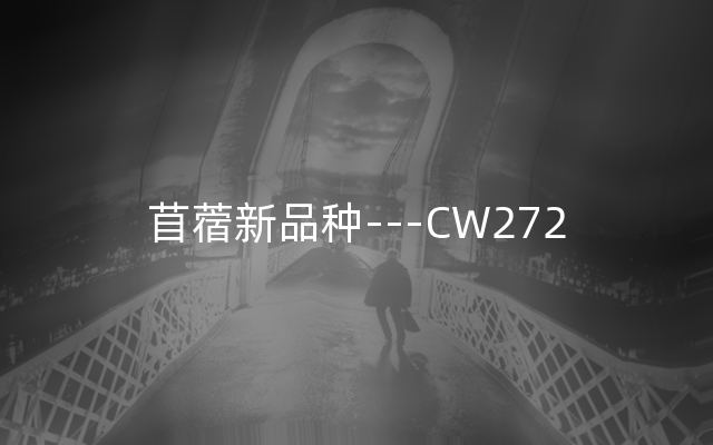 苜蓿新品种---CW272