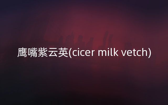 鹰嘴紫云英(cicer milk vetch)