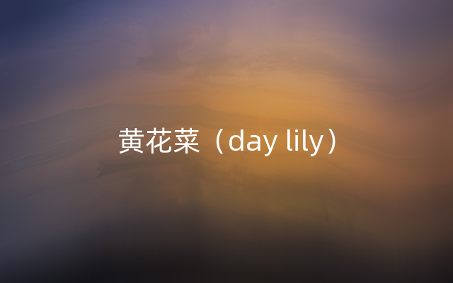 黄花菜（day lily）