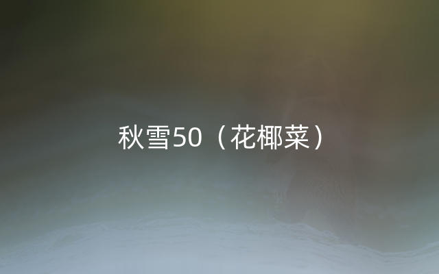 秋雪50（花椰菜）