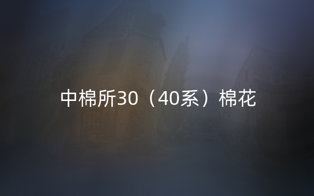 中棉所30（40系）棉花