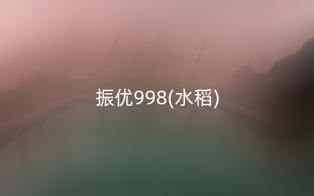 振优998(水稻)