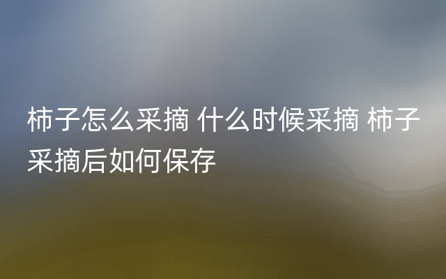 柿子怎么采摘 什么时候采摘 柿子采摘后如何保存