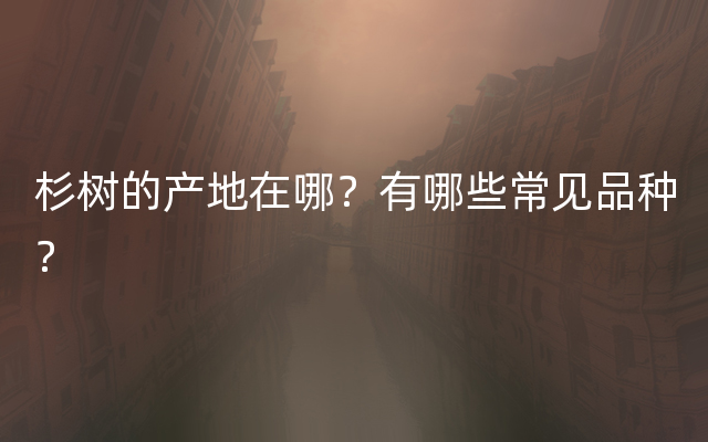 杉树的产地在哪？有哪些常见品种？