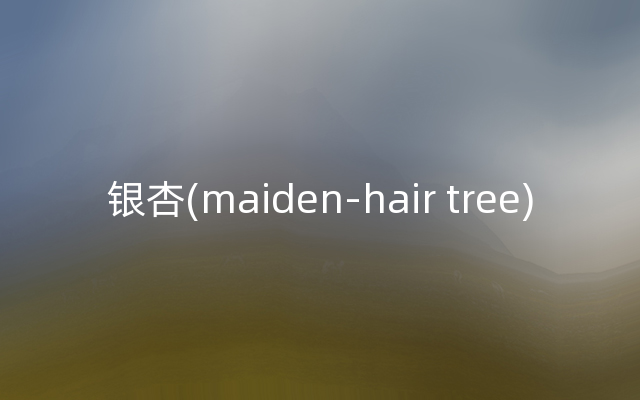 银杏(maiden-hair tree)