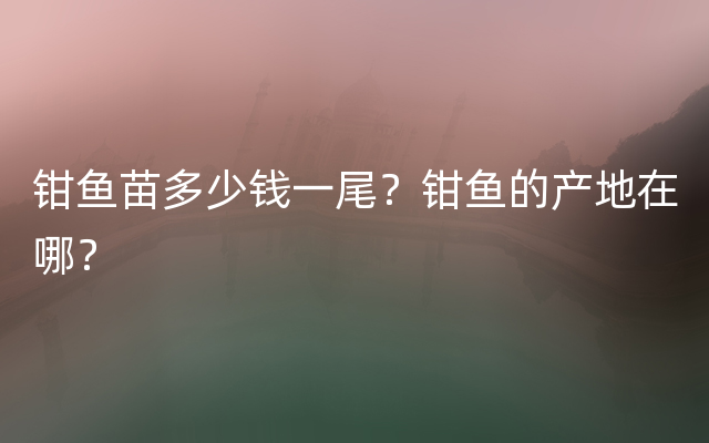 钳鱼苗多少钱一尾？钳鱼的产地在哪？