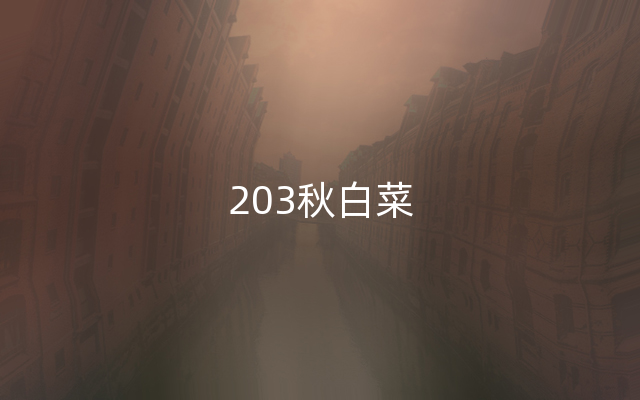203秋白菜