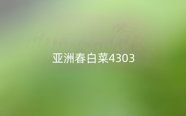 亚洲春白菜4303