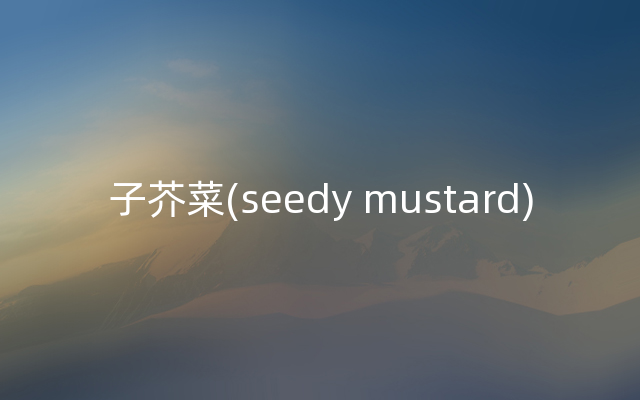 子芥菜(seedy mustard)