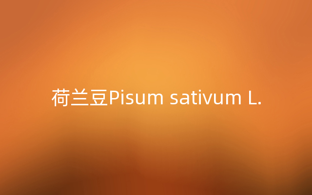 荷兰豆Pisum sativum L.