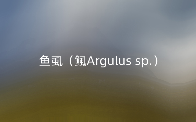 鱼虱（鲺Argulus sp.）