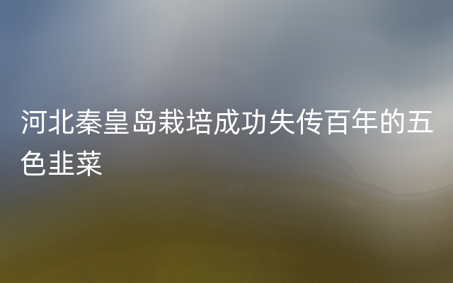河北秦皇岛栽培成功失传百年的五色韭菜