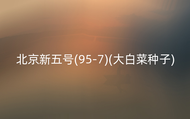 北京新五号(95-7)(大白菜种子)