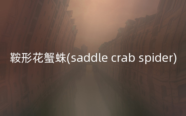 鞍形花蟹蛛(saddle crab spider)