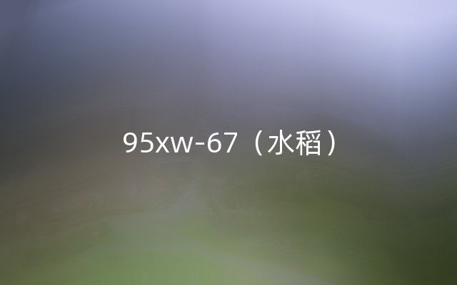 95xw-67（水稻）