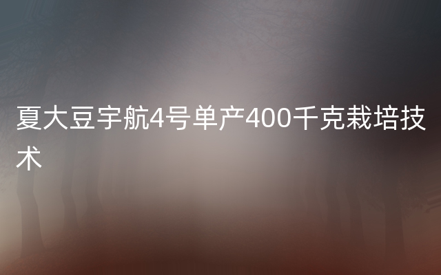 夏大豆宇航4号单产400千克栽培技术
