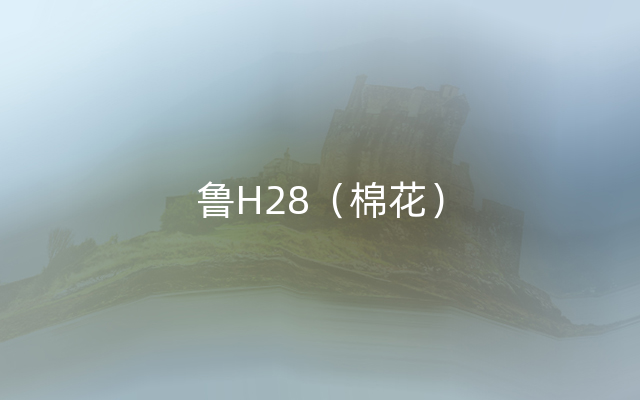 鲁H28（棉花）