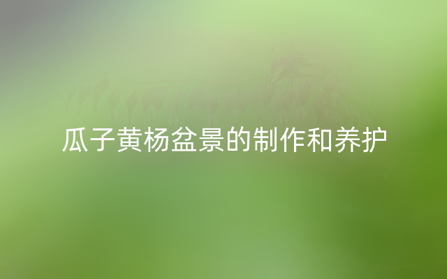 瓜子黄杨盆景的制作和养护