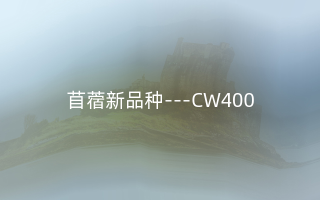 苜蓿新品种---CW400