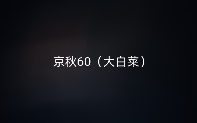 京秋60（大白菜）