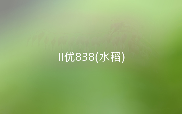 II优838(水稻)