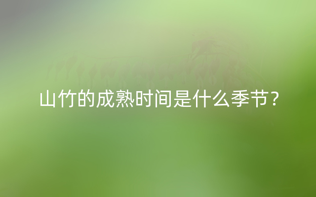 山竹的成熟时间是什么季节？