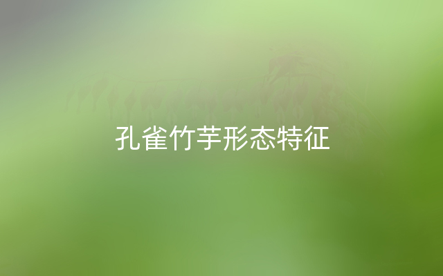 孔雀竹芋形态特征