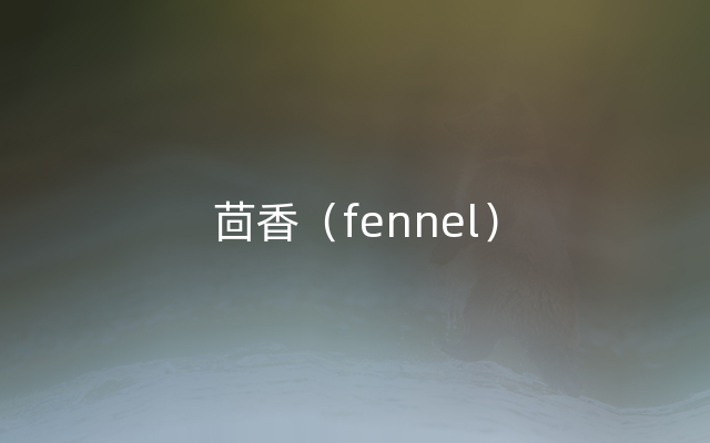 茴香（fennel）