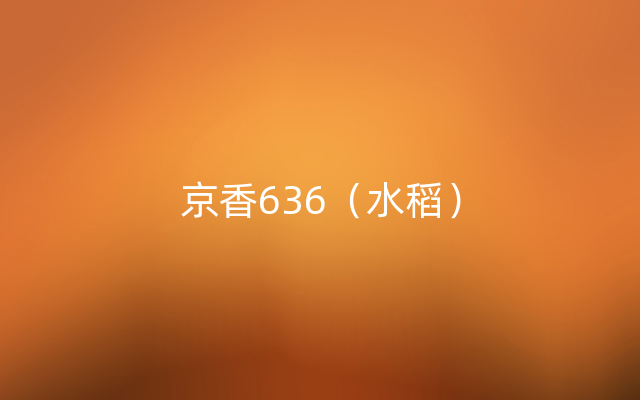 京香636（水稻）
